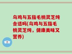 乌鸡与五指毛桃灵芝炖合适吗(乌鸡与五指毛桃灵芝炖，健康美味又营养)
