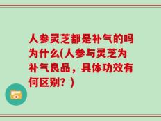 人参灵芝都是补气的吗为什么(人参与灵芝为补气良品，具体功效有何区别？)