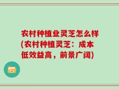 农村种植业灵芝怎么样(农村种植灵芝：成本低效益高，前景广阔)