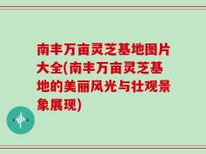 南丰万亩灵芝基地图片大全(南丰万亩灵芝基地的美丽风光与壮观景象展现)