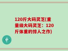 120斤大码灵芝(重量级大码灵芝：120斤体重的惊人之作)