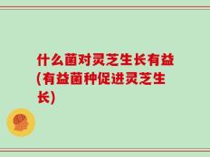 什么菌对灵芝生长有益(有益菌种促进灵芝生长)
