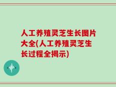 人工养殖灵芝生长图片大全(人工养殖灵芝生长过程全揭示)