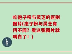 吃孢子粉与灵芝的区别图片(孢子粉与灵芝有何不同？看这张图片就明白了！)
