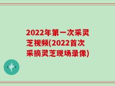 2022年第一次采灵芝视频(2022首次采摘灵芝现场录像)