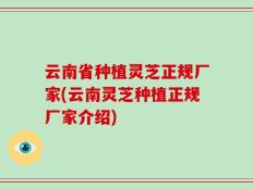 云南省种植灵芝正规厂家(云南灵芝种植正规厂家介绍)