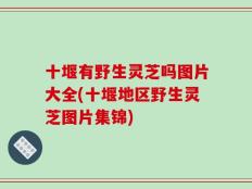 十堰有野生灵芝吗图片大全(十堰地区野生灵芝图片集锦)