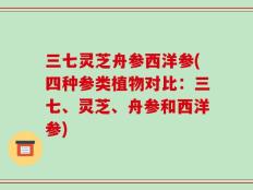 三七灵芝舟参西洋参(四种参类植物对比：三七、灵芝、舟参和西洋参)
