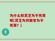 为什么称灵芝为不死草呢(灵芝为何被誉为不死草？)