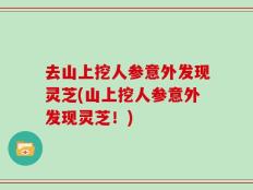 去山上挖人参意外发现灵芝(山上挖人参意外发现灵芝！)
