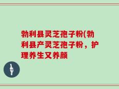 勃利县灵芝孢子粉(勃利县产灵芝孢子粉，护理养生又养颜