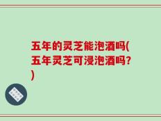 五年的灵芝能泡酒吗(五年灵芝可浸泡酒吗？)