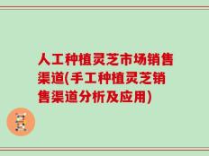 人工种植灵芝市场销售渠道(手工种植灵芝销售渠道分析及应用)