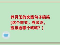 养灵芝的文案句子搞笑(这个季节，养灵芝，应该选哪个咚咚？)