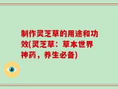 制作灵芝草的用途和功效(灵芝草：草本世界神药，养生必备)