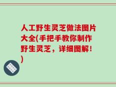 人工野生灵芝做法图片大全(手把手教你制作野生灵芝，详细图解！)
