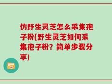 仿野生灵芝怎么采集孢子粉(野生灵芝如何采集孢子粉？简单步骤分享)