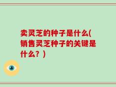 卖灵芝的种子是什么(销售灵芝种子的关键是什么？)