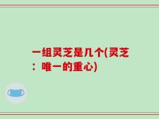 一组灵芝是几个(灵芝：唯一的重心)