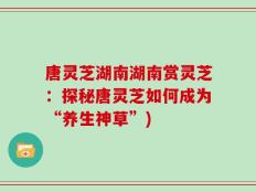 唐灵芝湖南湖南赏灵芝：探秘唐灵芝如何成为“养生神草”)