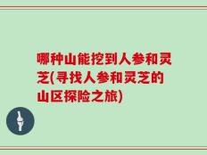 哪种山能挖到人参和灵芝(寻找人参和灵芝的山区探险之旅)