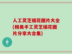 人工灵芝插花图片大全(精美手工灵芝插花图片分享大合集)