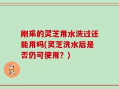 刚采的灵芝用水洗过还能用吗(灵芝洗水后是否仍可使用？)