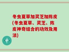 冬虫夏草加灵芝加陈皮(冬虫夏草、灵芝、陈皮神奇组合的功效及用法)