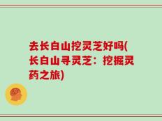 去长白山挖灵芝好吗(长白山寻灵芝：挖掘灵药之旅)