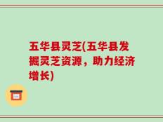 五华县灵芝(五华县发掘灵芝资源，助力经济增长)