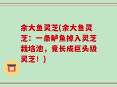 余大鱼灵芝(余大鱼灵芝：一条鲈鱼掉入灵芝栽培池，竟长成巨头级灵芝！)