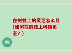 在树枝上的灵芝怎么养(如何在树枝上种植灵芝？)