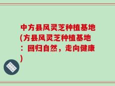 中方县风灵芝种植基地(方县风灵芝种植基地：回归自然，走向健康)