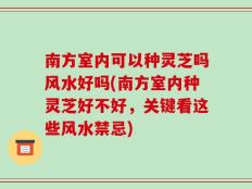 南方室内可以种灵芝吗风水好吗(南方室内种灵芝好不好，关键看这些风水禁忌)
