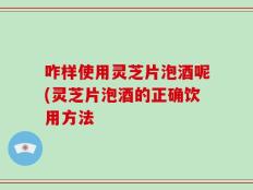 咋样使用灵芝片泡酒呢(灵芝片泡酒的正确饮用方法