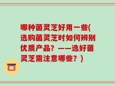 哪种菌灵芝好用一些(选购菌灵芝时如何辨别优质产品？——选好菌灵芝需注意哪些？)