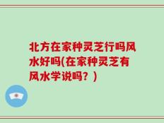 北方在家种灵芝行吗风水好吗(在家种灵芝有风水学说吗？)