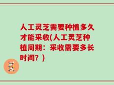 人工灵芝需要种植多久才能采收(人工灵芝种植周期：采收需要多长时间？)