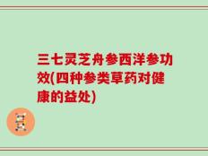 三七灵芝舟参西洋参功效(四种参类草药对健康的益处)