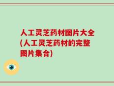 人工灵芝药材图片大全(人工灵芝药材的完整图片集合)