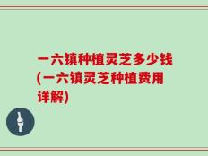 一六镇种植灵芝多少钱(一六镇灵芝种植费用详解)