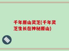 千年原山灵芝(千年灵芝生长在神秘原山)