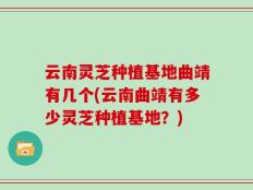云南灵芝种植基地曲靖有几个(云南曲靖有多少灵芝种植基地？)