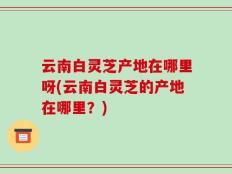 云南白灵芝产地在哪里呀(云南白灵芝的产地在哪里？)