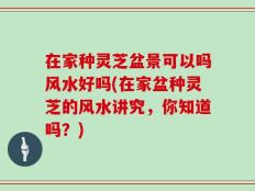 在家种灵芝盆景可以吗风水好吗(在家盆种灵芝的风水讲究，你知道吗？)