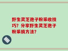 野生灵芝孢子粉采收技巧？分享野生灵芝孢子粉采摘方法？