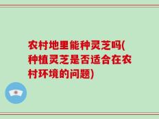 农村地里能种灵芝吗(种植灵芝是否适合在农村环境的问题)