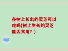 在树上长出的灵芝可以吃吗(树上生长的灵芝能否食用？)