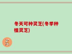 冬天可种灵芝(冬季种植灵芝)