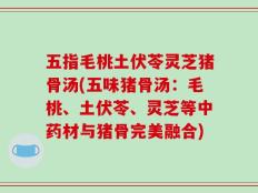 五指毛桃土伏苓灵芝猪骨汤(五味猪骨汤：毛桃、土伏苓、灵芝等中药材与猪骨完美融合)
